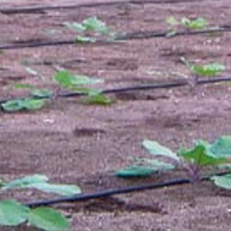Mangas de riego uso agrícola 28 0028