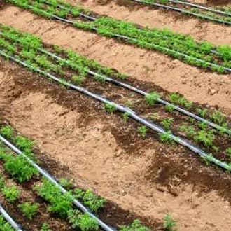 Mangas de riego uso agrícola 29 0029