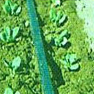 Mangas de riego uso agrícola 55 0056